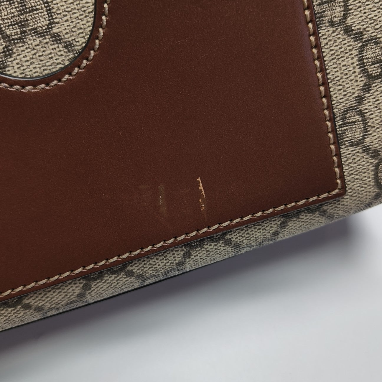 Padlock Small Monogram Coated Canvas Multicolor