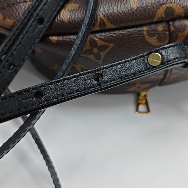 PALM SPRINGS Mini Monogram Coated Canvas Brown