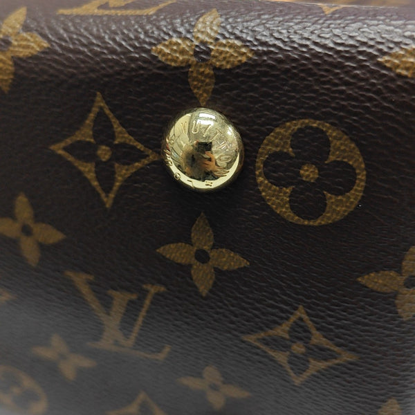 CARRYALL PM Monogram Coated Canvas Brown