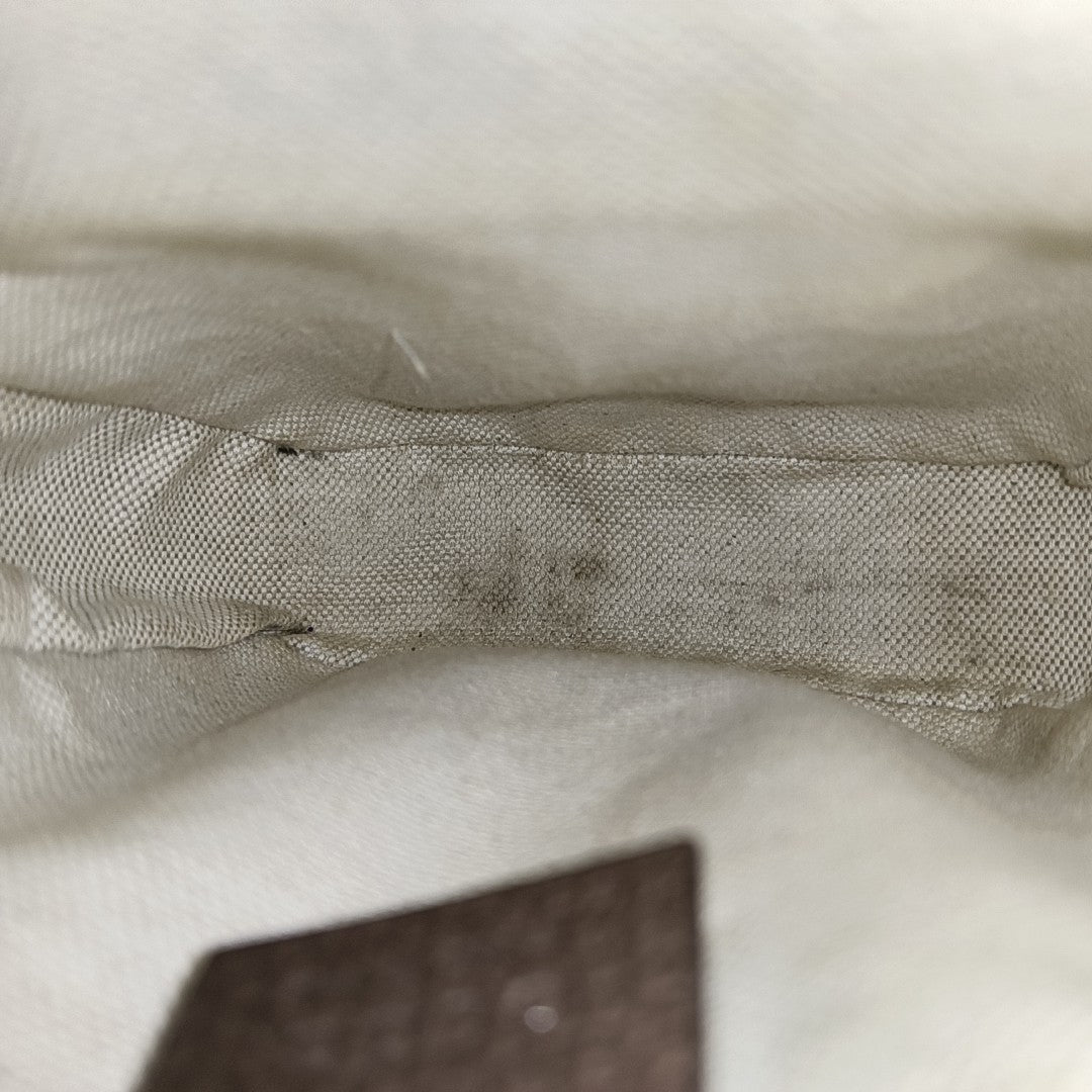 Neo Vintage Mini Monogram Coated Canvas Brown