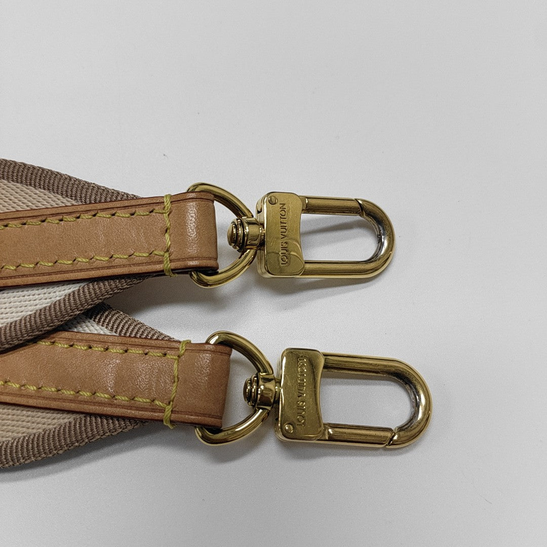 SPEEDY 20 Monogram Coated Canvas Brown