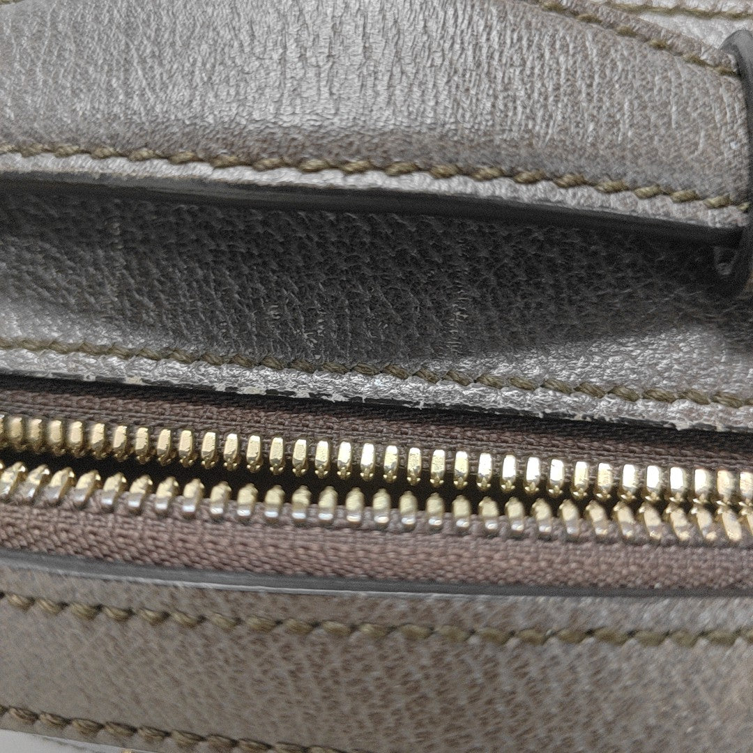 Ophidia Mini Monogram Coated Canvas Beige