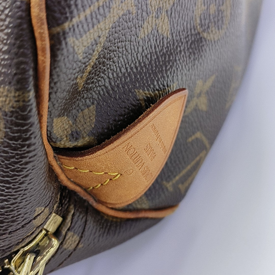 SPEEDY 30 Monogram Coated Canvas Brown