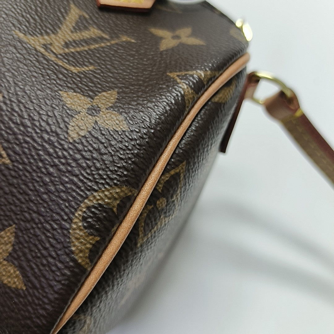 SPEEDY Nano Monogram Coated Canvas Brown