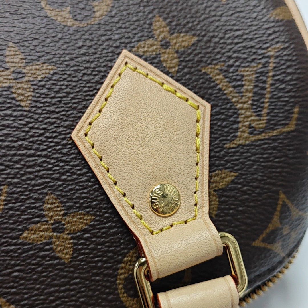SPEEDY 20 Monogram Coated Canvas Brown