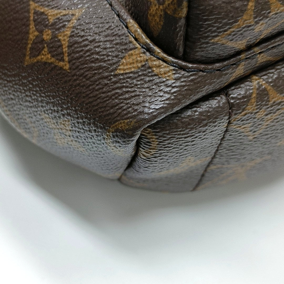 PALM SPRINGS Mini Monogram Coated Canvas Brown
