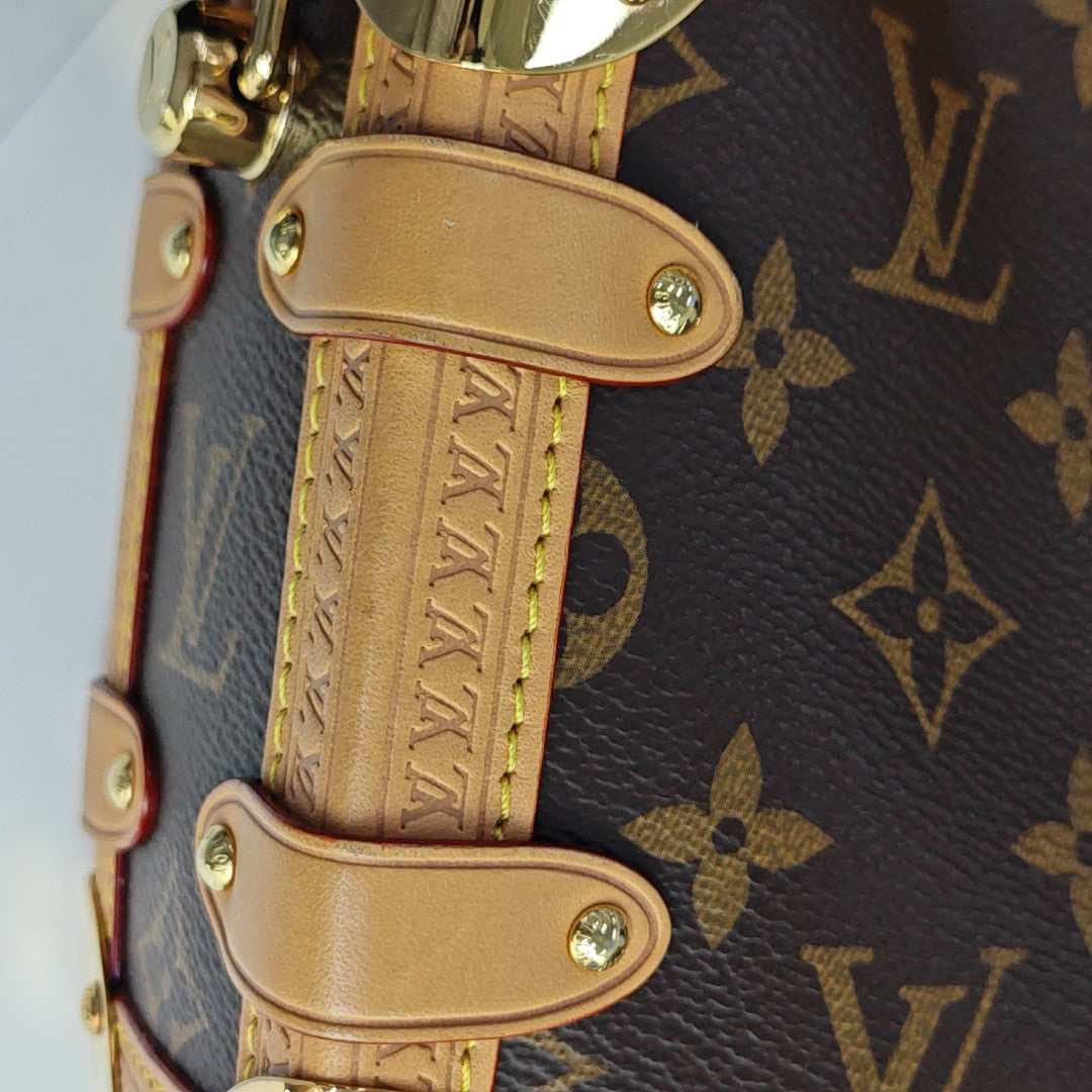 SIDE TRUNK PM Monogram Coated Canvas Brown