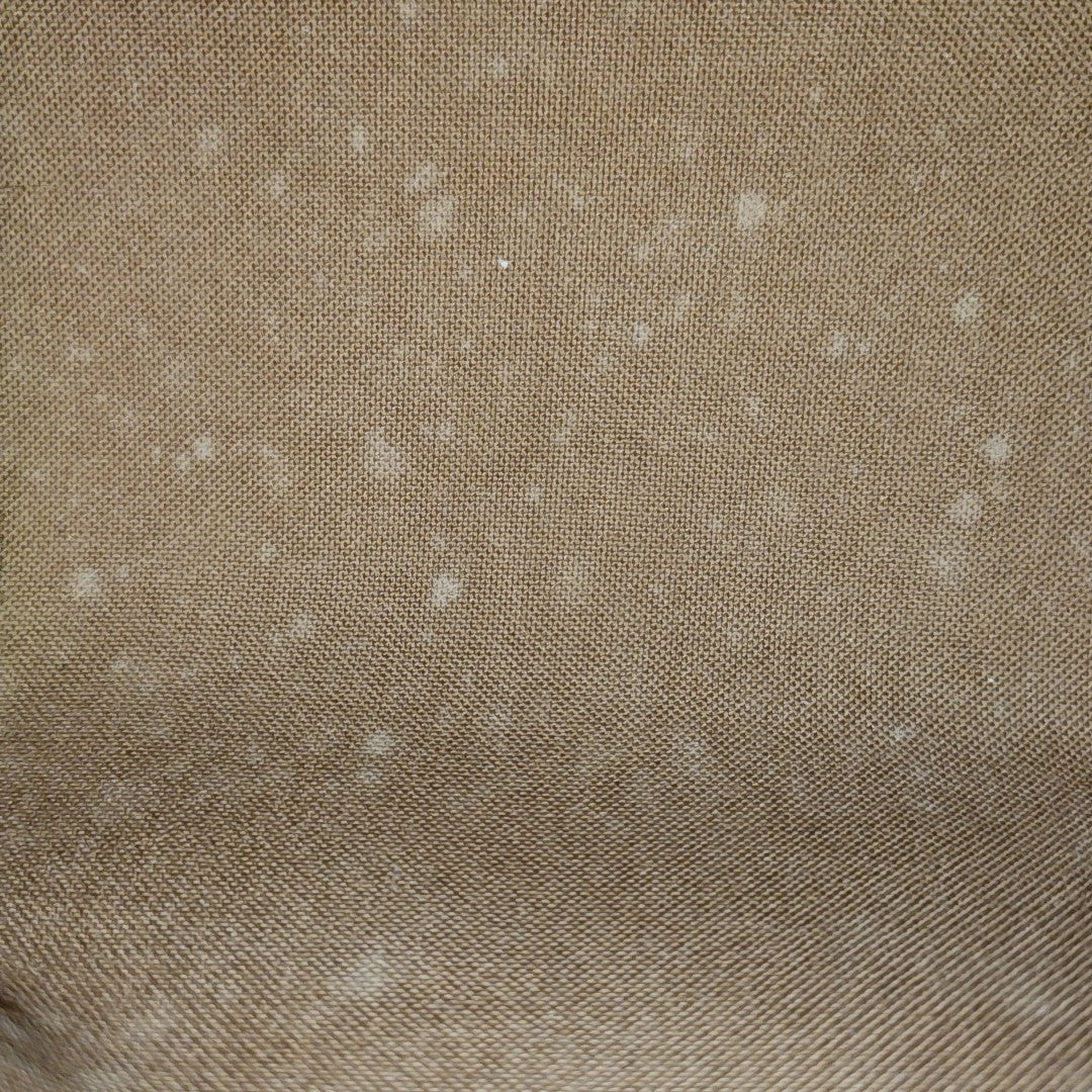 SPEEDY Nano Monogram Coated Canvas Brown