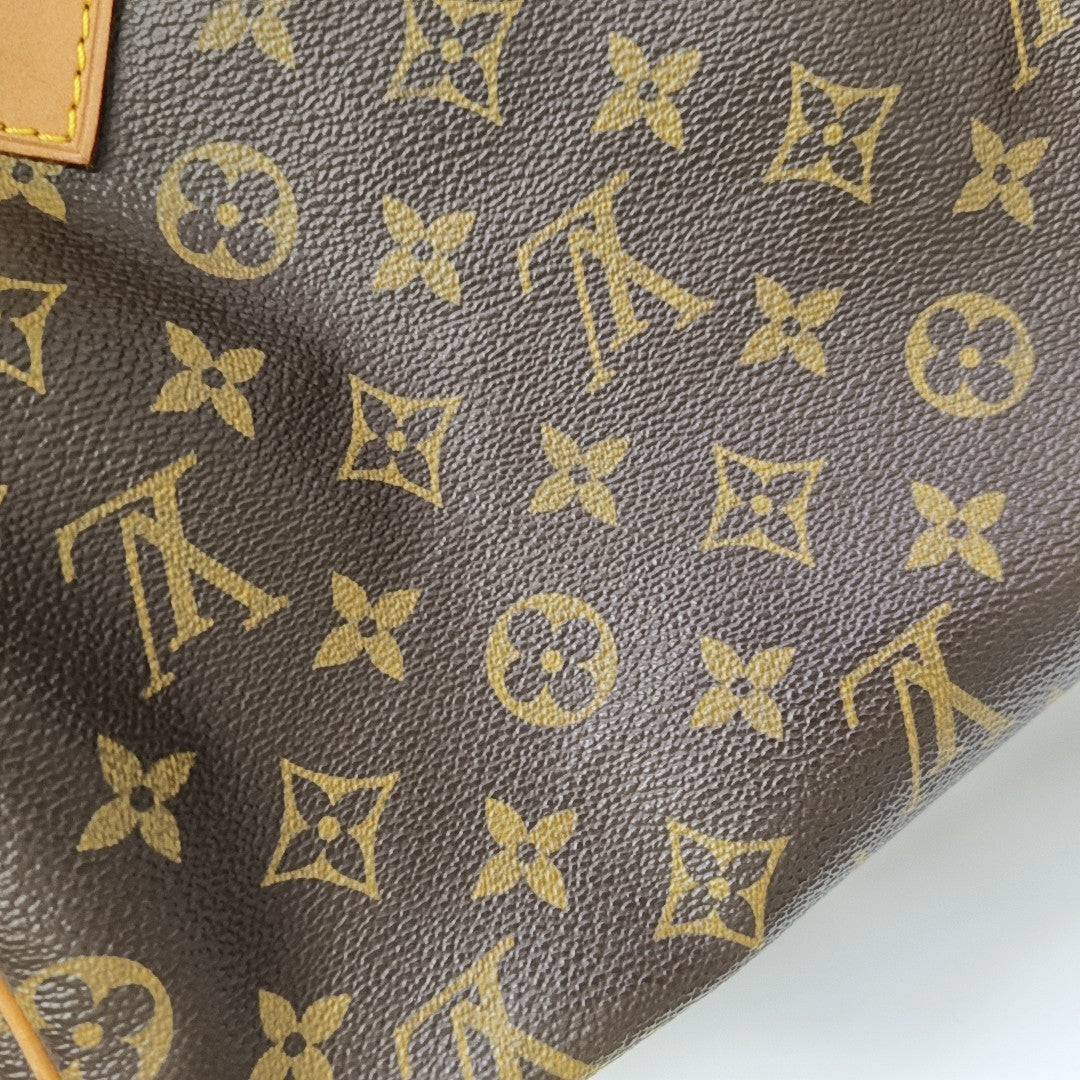 SPEEDY 25 Monogram Coated Canvas Brown