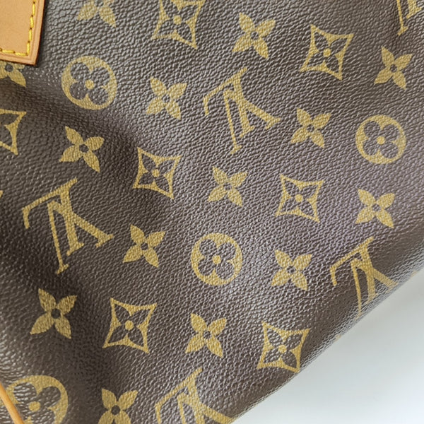 SPEEDY 25 Monogram Coated Canvas Brown