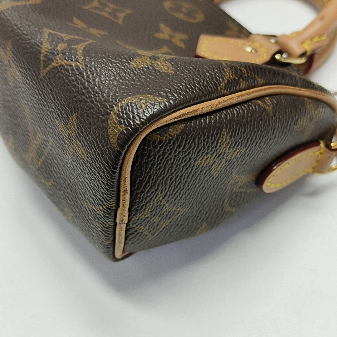 SPEEDY Nano Monogram Coated Canvas Brown