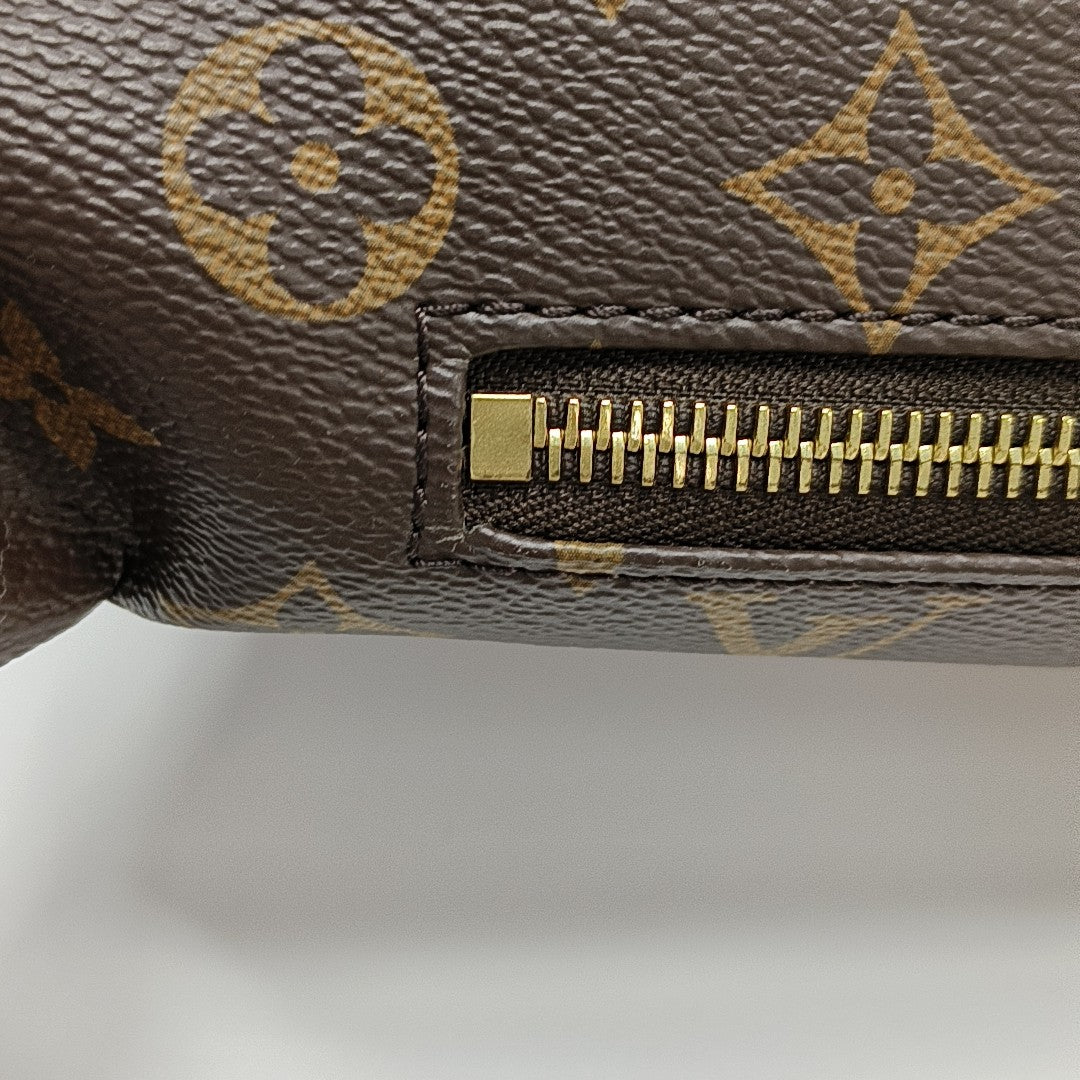 BUMBAG Monogram Coated Canvas Brown