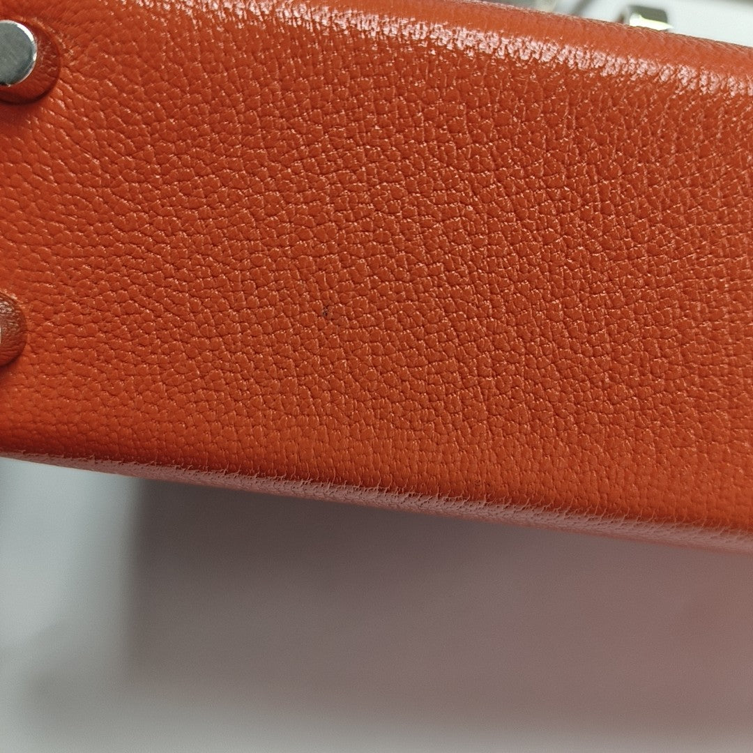 Verrou 17 Chèvre Mysore Orange
