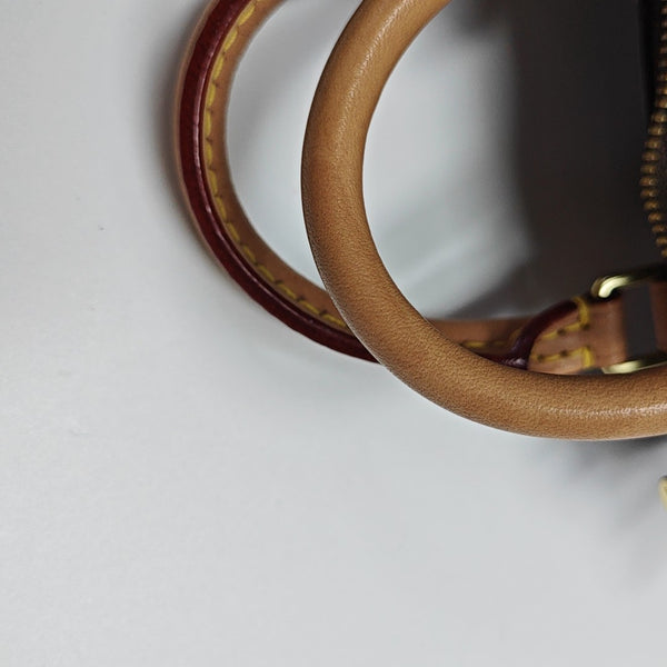 SPEEDY Nano Monogram Coated Canvas Brown