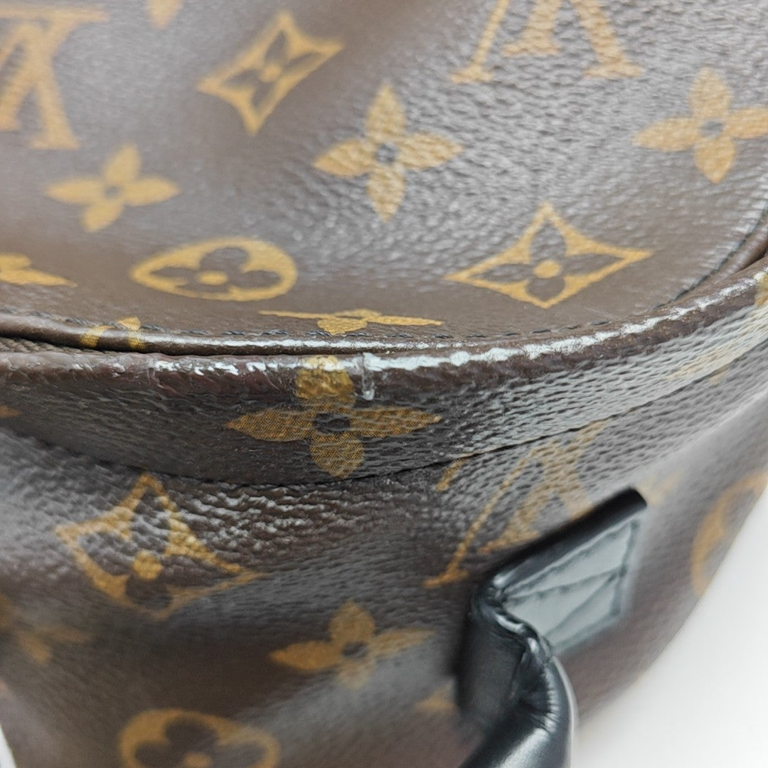 PALM SPRINGS Mini Monogram Coated Canvas Brown