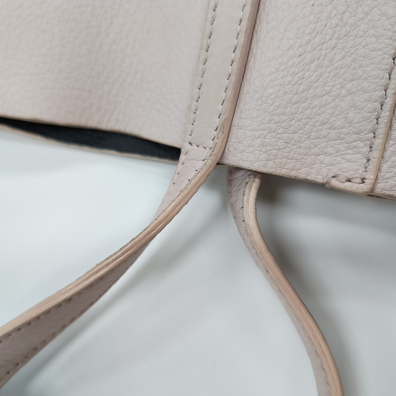 Everyday Mini Calfskin Pink