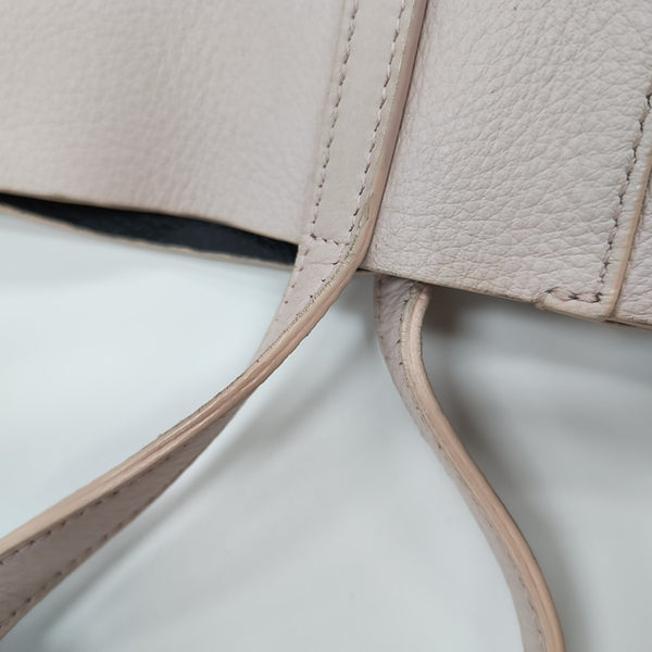 Everyday Mini Calfskin Pink