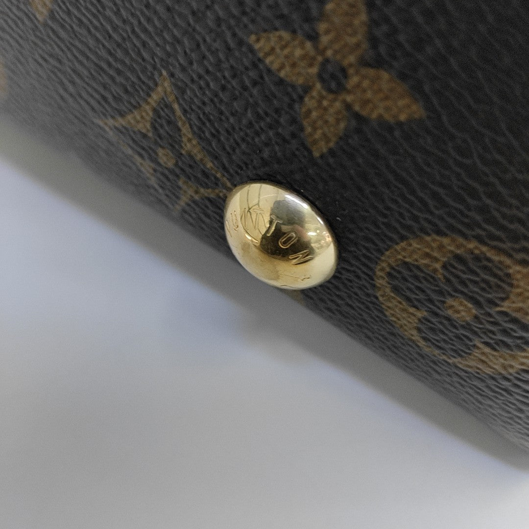 CARRYALL PM Monogram Coated Canvas Brown