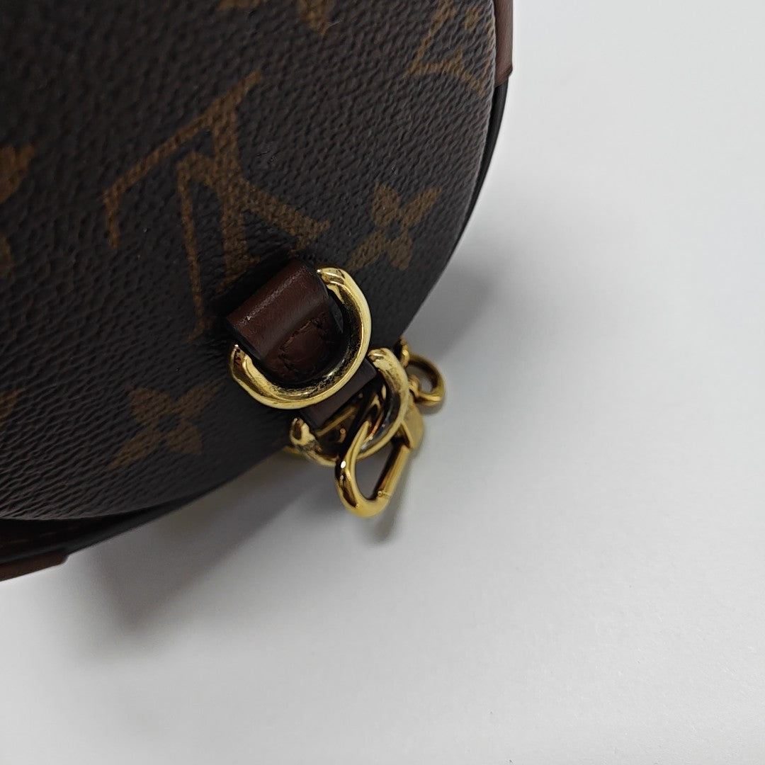 PAPILLON 19 Monogram Coated Canvas Brown