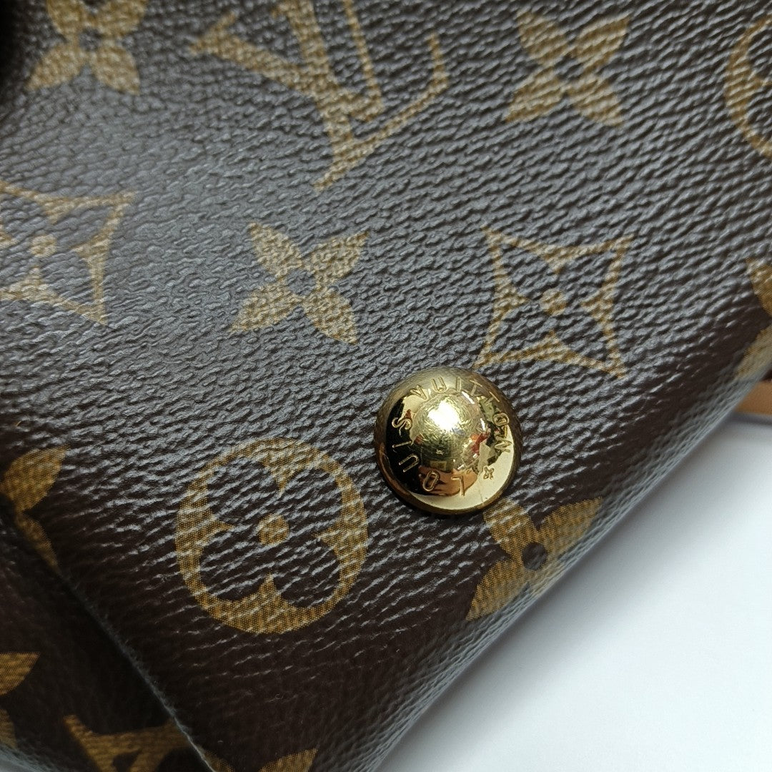 CARRYALL PM Monogram Coated Canvas Brown