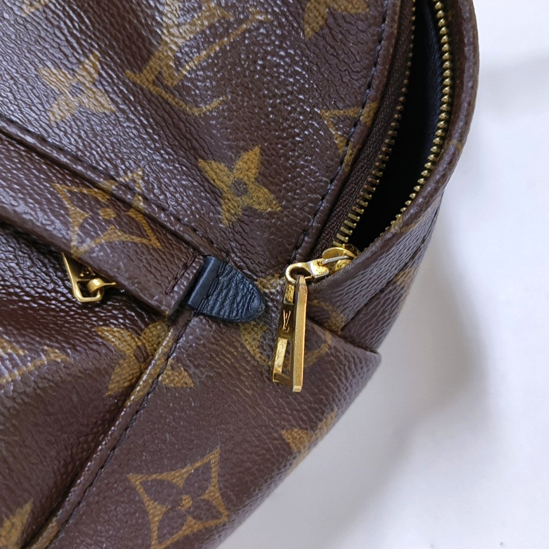PALM SPRINGS Mini Monogram Coated Canvas Brown