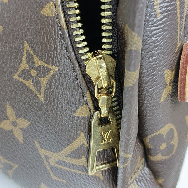 BUMBAG Monogram Coated Canvas Brown
