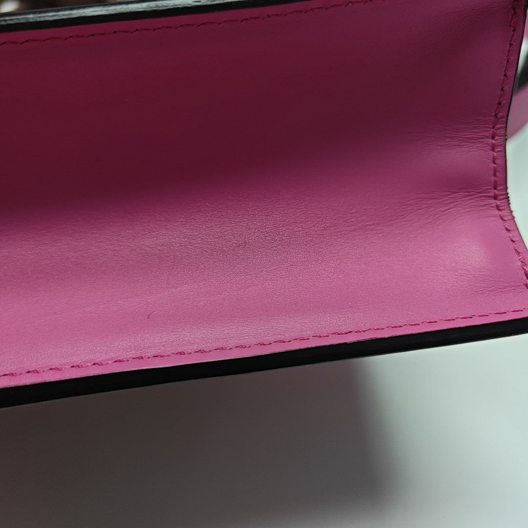 Sylvie Small Calfskin Pink