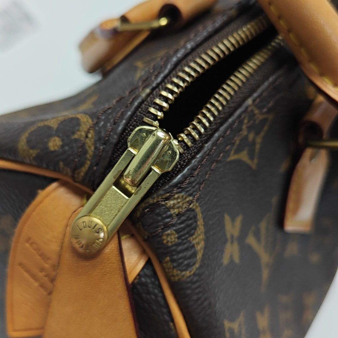 SPEEDY 25 Monogram Coated Canvas Brown