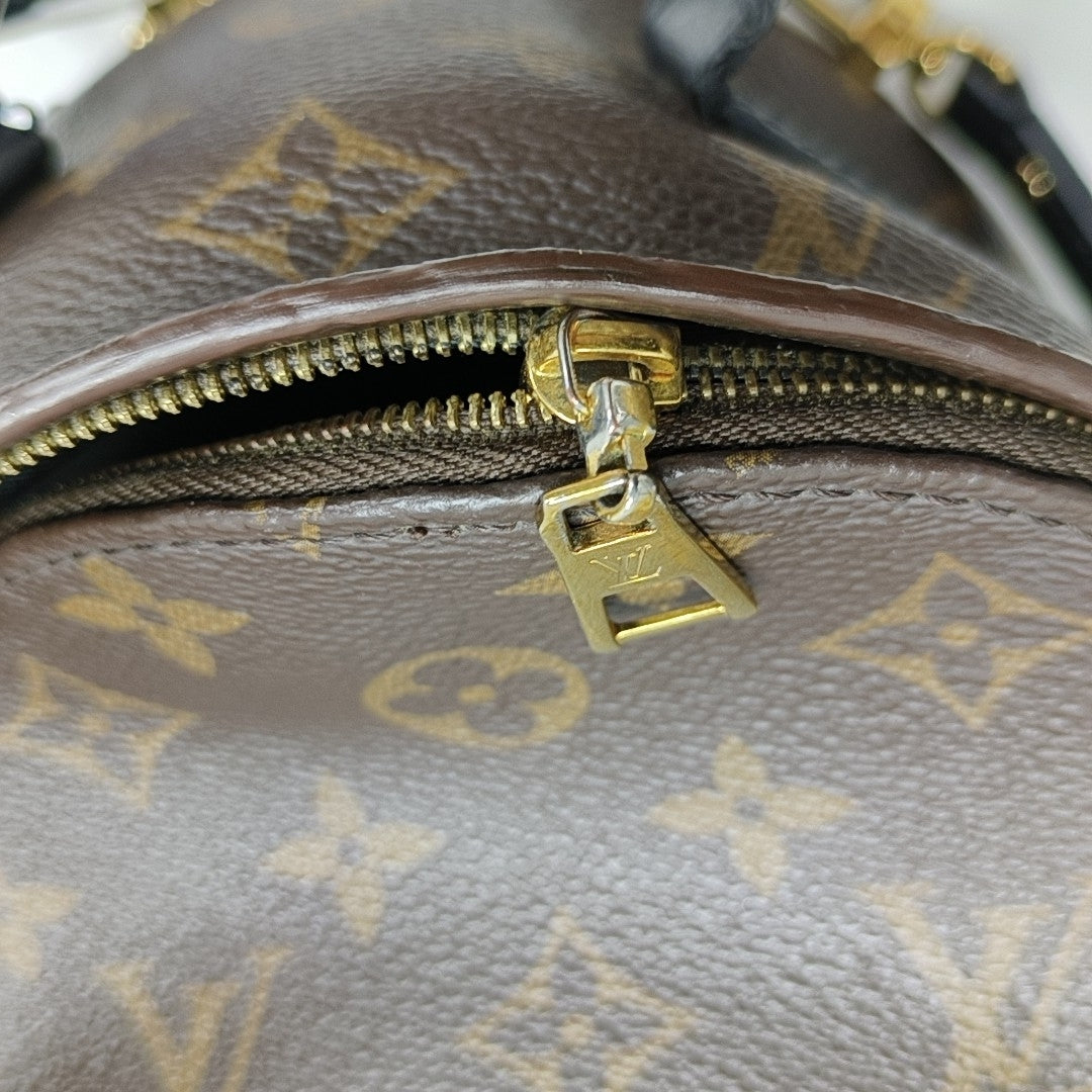 PALM SPRINGS Mini Monogram Coated Canvas Brown