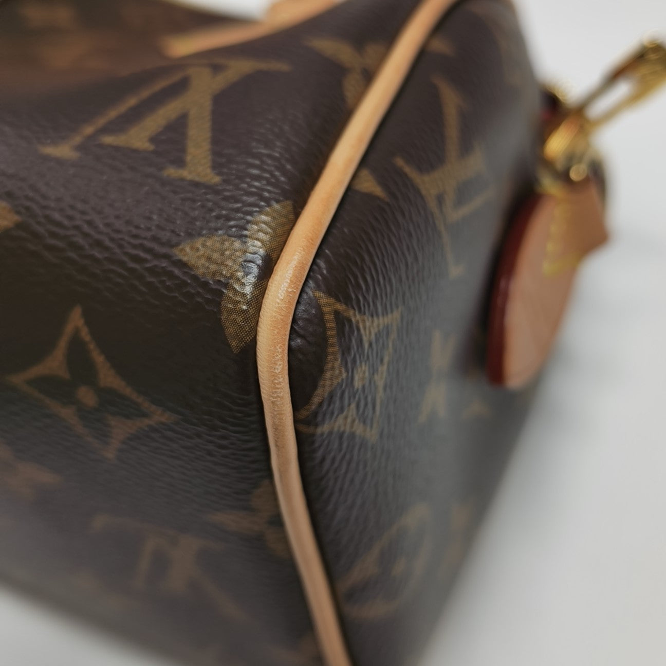 SPEEDY 20 Monogram Coated Canvas Brown