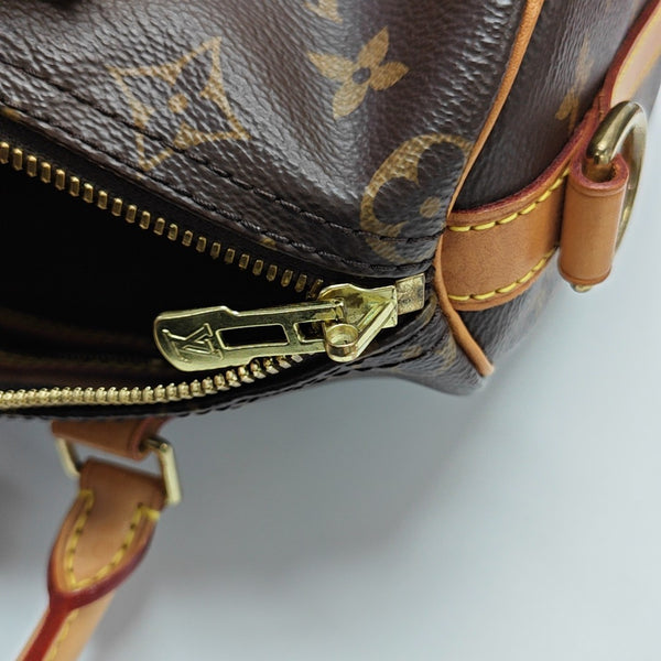 SPEEDY 25 Monogram Coated Canvas Brown