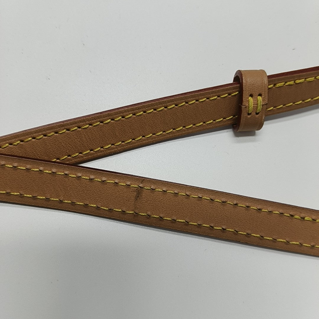 SPEEDY Nano Monogram Coated Canvas Brown