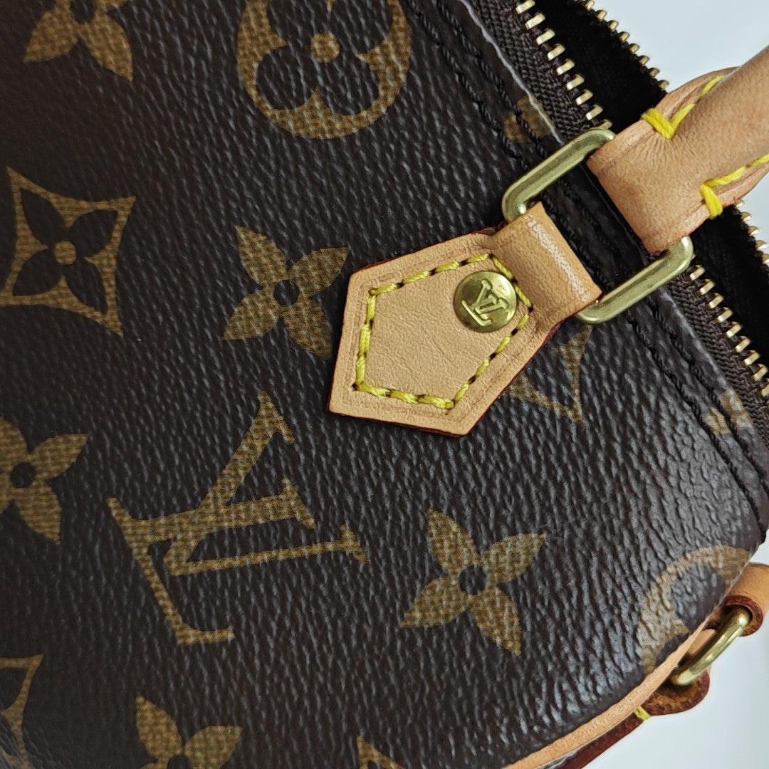 SPEEDY Nano Monogram Coated Canvas Brown