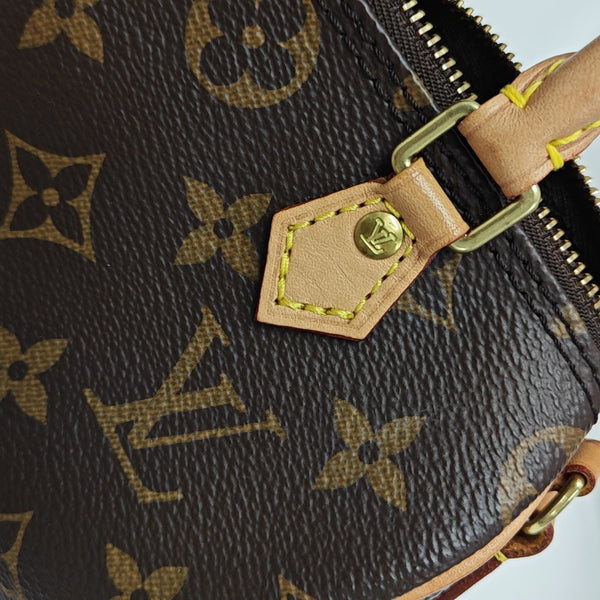 SPEEDY Nano Monogram Coated Canvas Brown