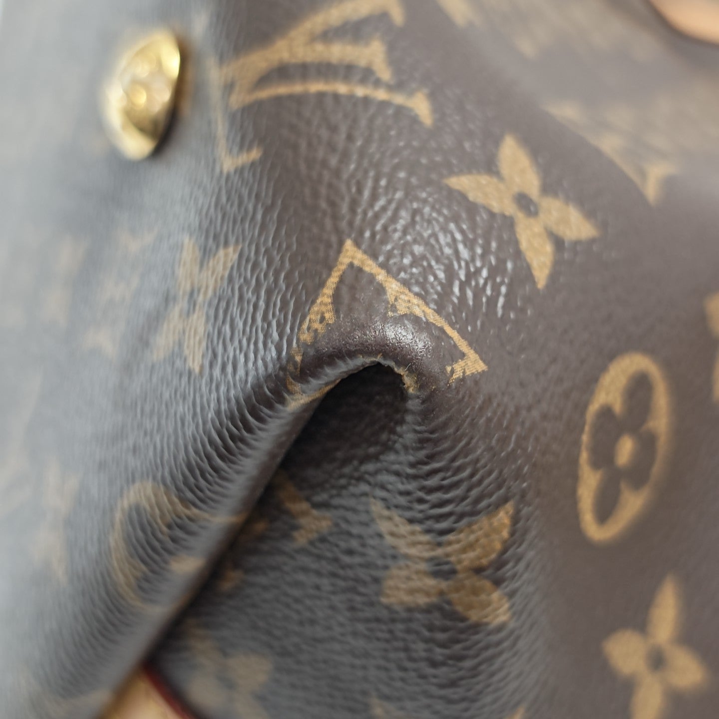 CARRYALL MM Monogram Coated Canvas Brown