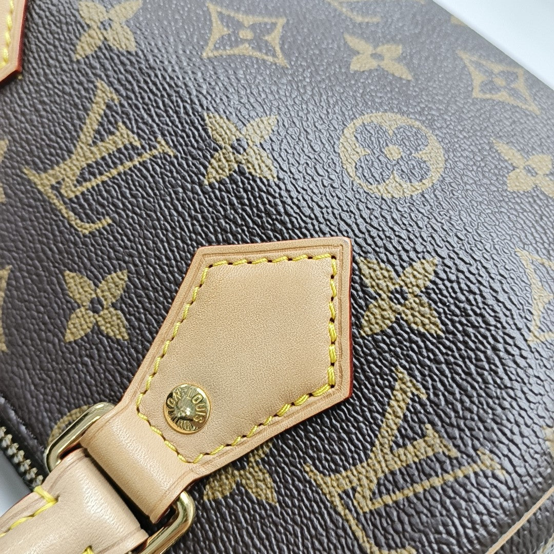 SPEEDY 20 Monogram Coated Canvas Brown
