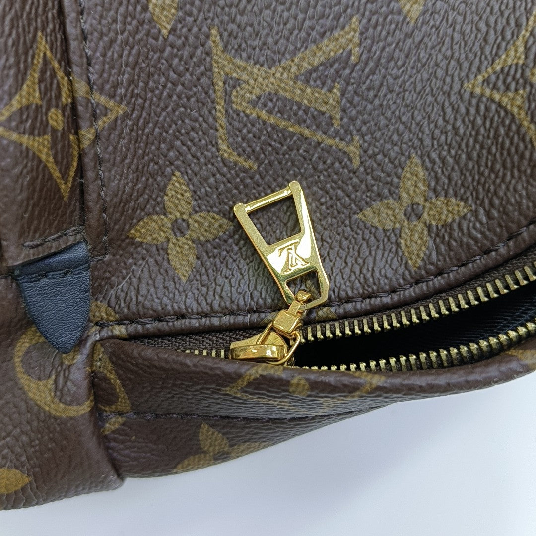 PALM SPRINGS Mini Monogram Coated Canvas Brown