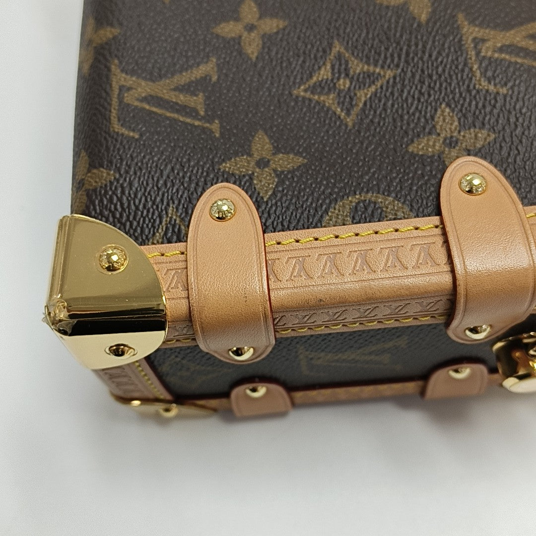 SIDE TRUNK PM Monogram Coated Canvas Brown