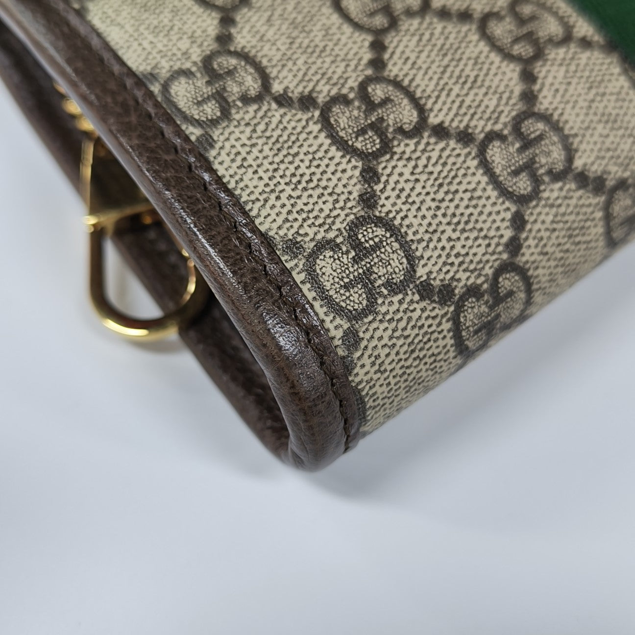 Rajah Mini Monogram Coated Canvas Beige