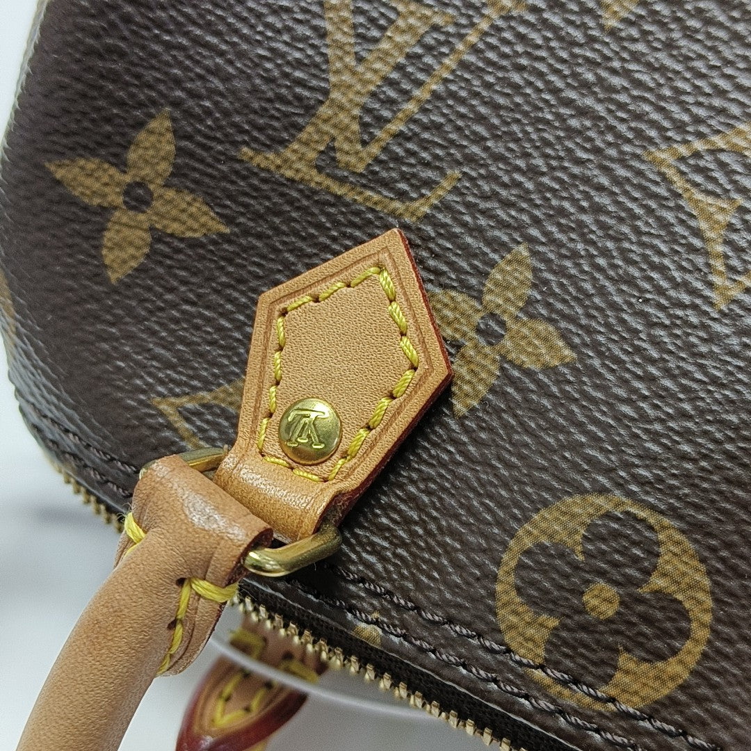 SPEEDY Nano Monogram Coated Canvas Brown