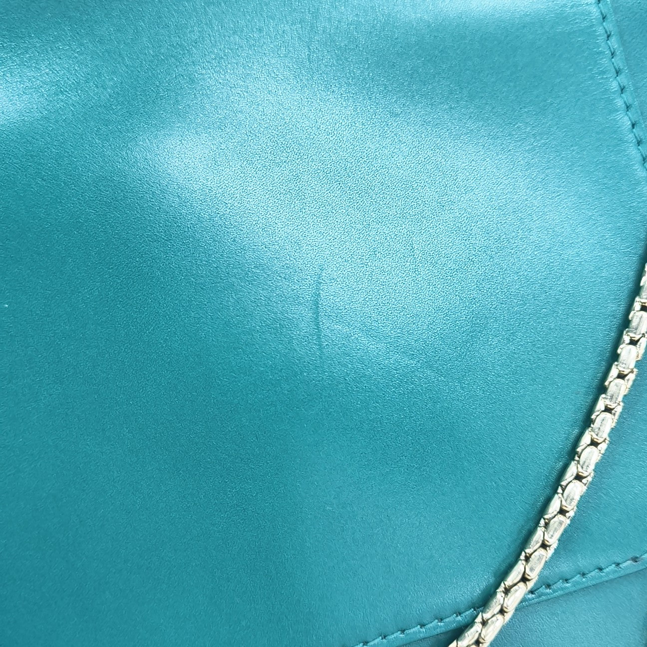 SERPENTI FOREVER Medium Calfskin Green