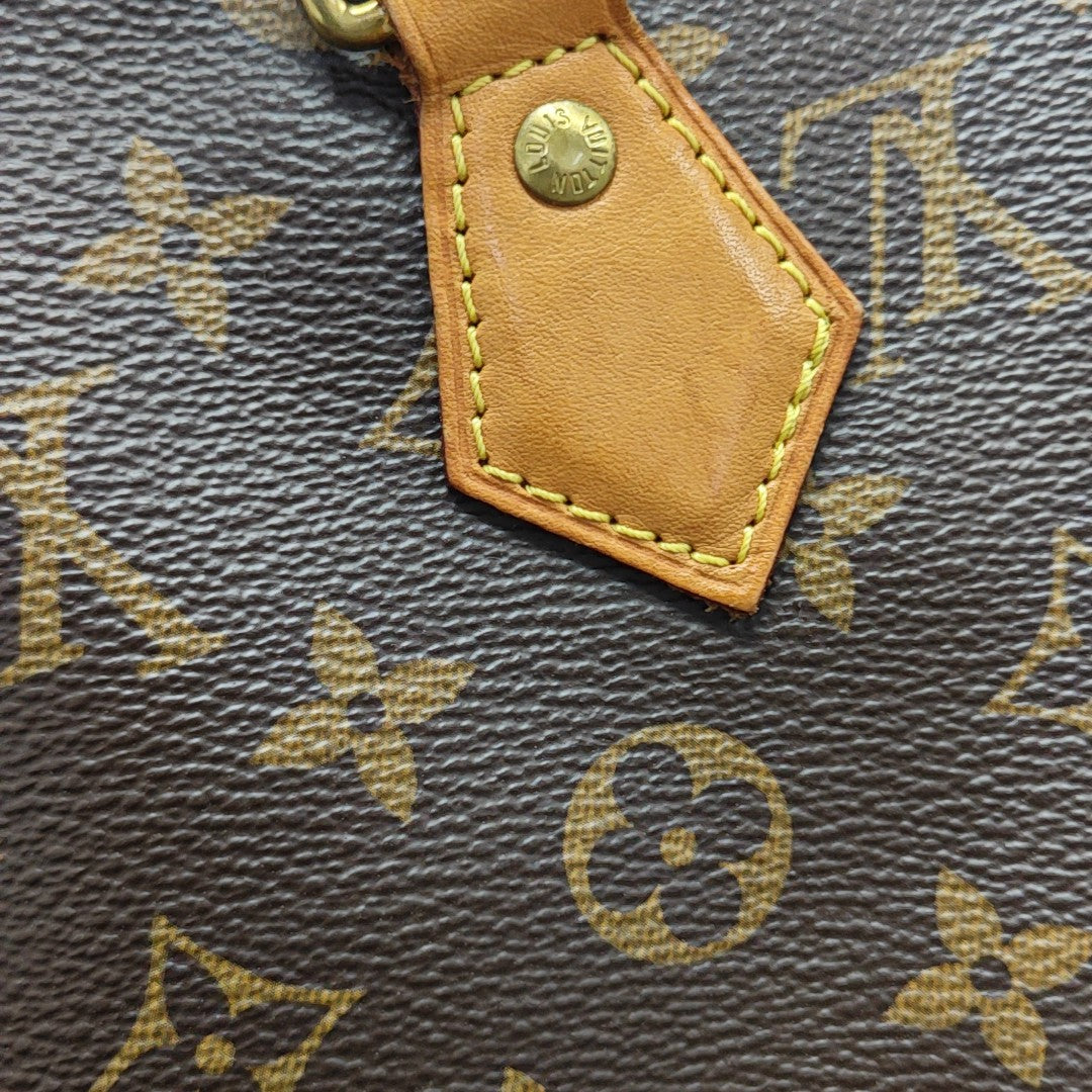 SPEEDY 25 Monogram Coated Canvas Brown