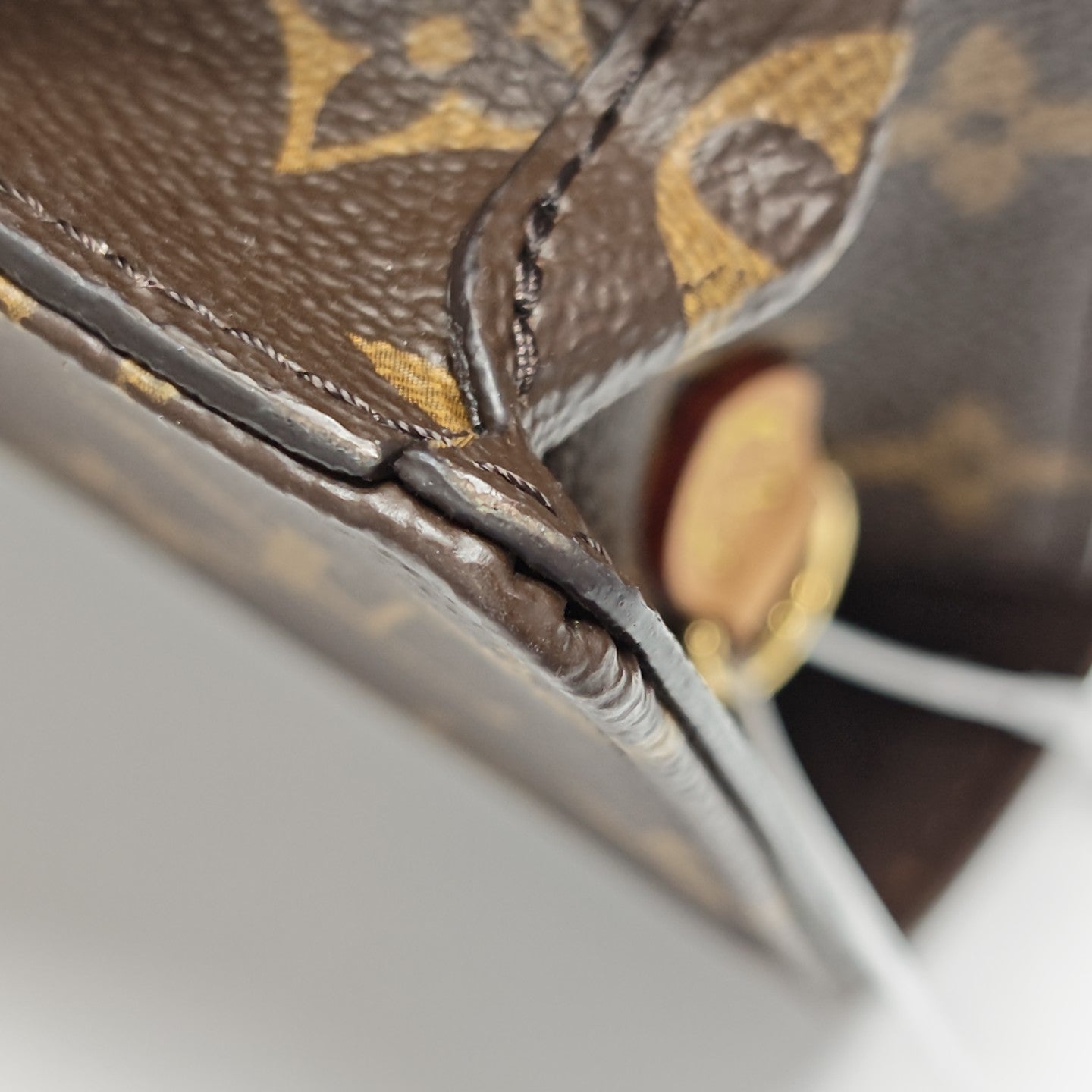 Lily Monogram Coated Canvas Brown