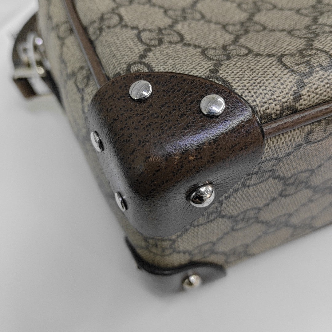 Trunk Monogram Coated Canvas Brown