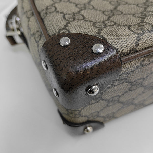Trunk Monogram Coated Canvas Brown