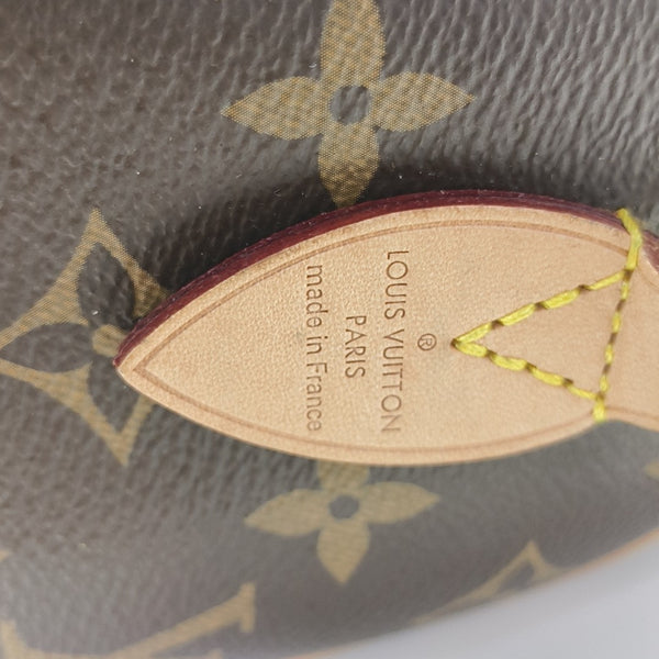 SPEEDY 20 Monogram Coated Canvas Brown