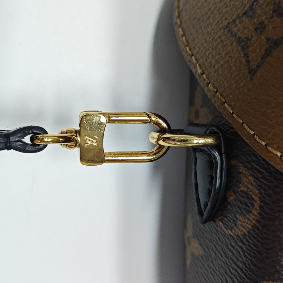 CAMERA BOX Monogram Coated Canvas Brown