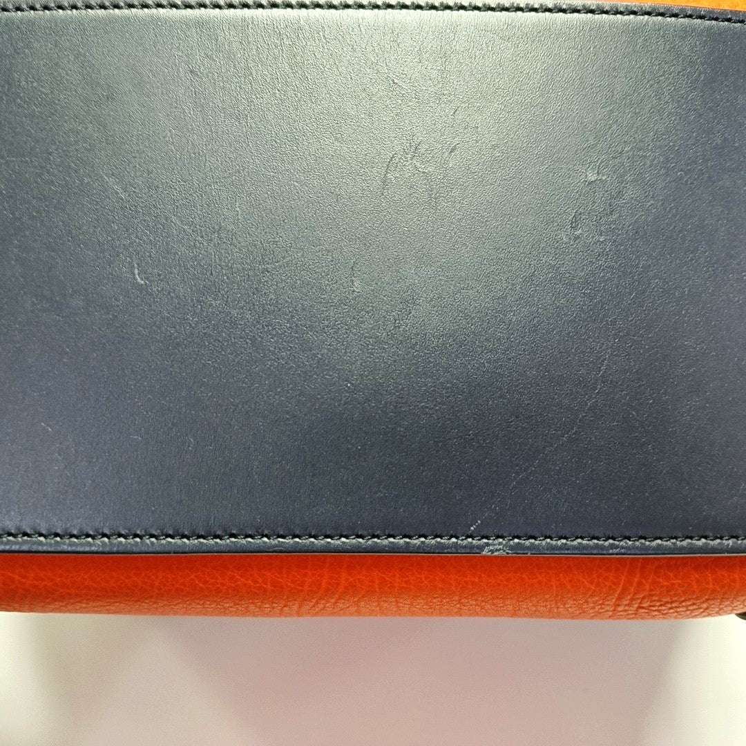 Authenticated pre-owned  LUGGAGE Micro Calfskin Multicolor - Tote Bag at Looply