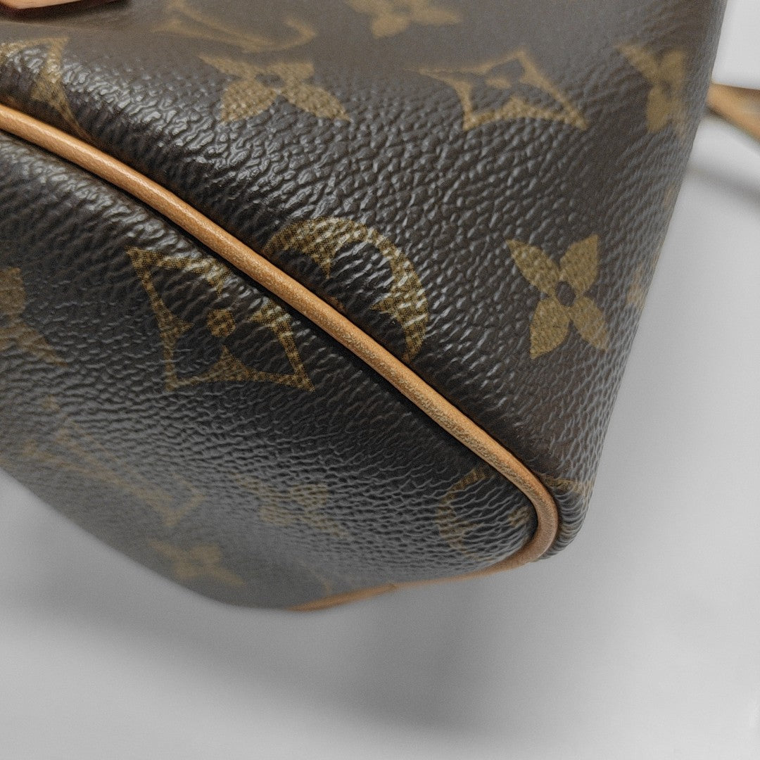 SPEEDY Nano Monogram Coated Canvas Brown