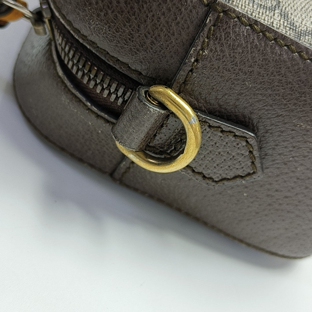 Neo Vintage Monogram Coated Canvas Beige
